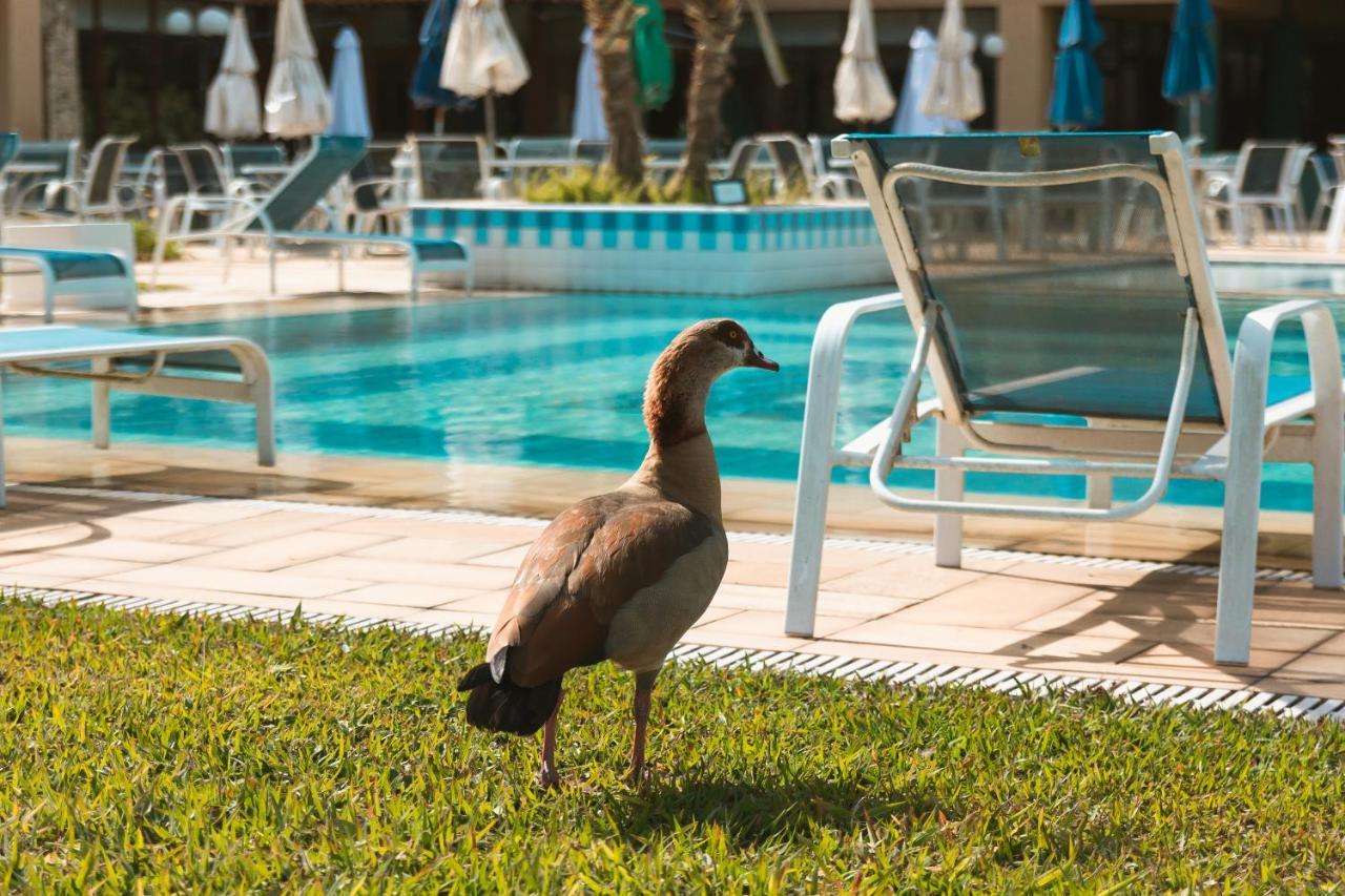 Villa Itaipava Resort & Conventions Extérieur photo